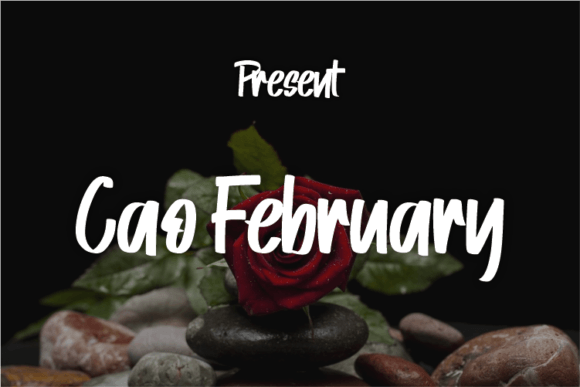 Cao February Script Font for Elegant Handmade Branding